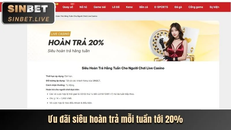 Cập nhật trò chơi và tính năng mới